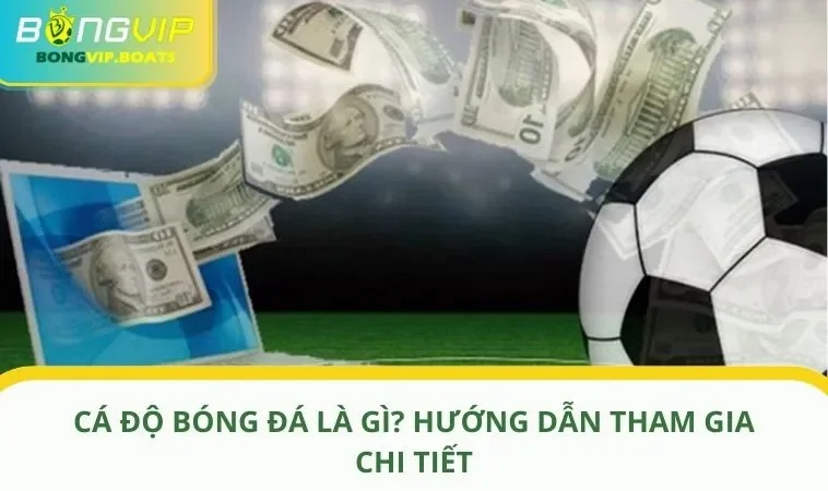 Cá Độ Bóng Đá Là Gì? Hướng Dẫn Tham Gia Chi Tiết Cho Newbie