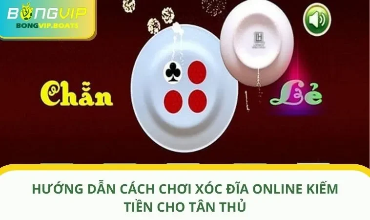 cach choi xoc dia anh dai dien Hướng Dẫn Cách Chơi Xóc Đĩa Online Kiếm Tiền Cho Tân Thủ