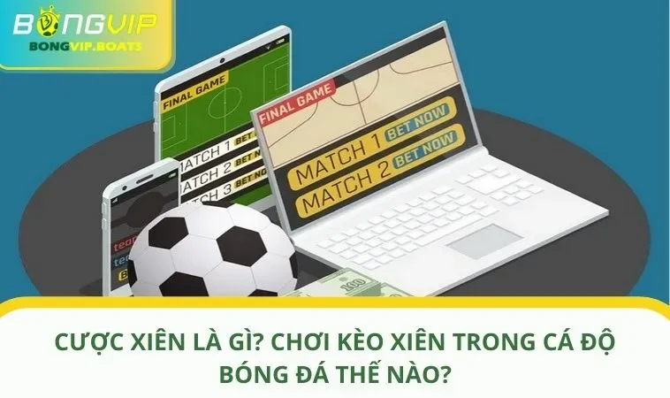 cuoc xien la gi anh dai dien Cược Xiên Là Gì? Chơi Kèo Xiên Trong Cá Độ Bóng Đá Thế Nào?